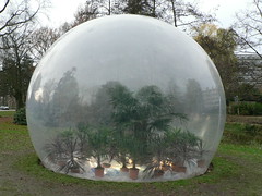 greenhouse bubble