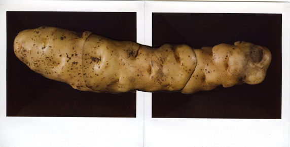01 (local organic potato).jpg