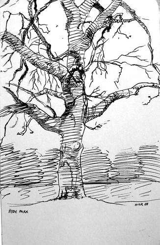 moleskine sketch, tree in hyde park London