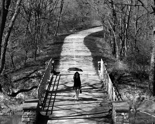 Woman on Sauk Trail Bridge #4 by PubCulture.