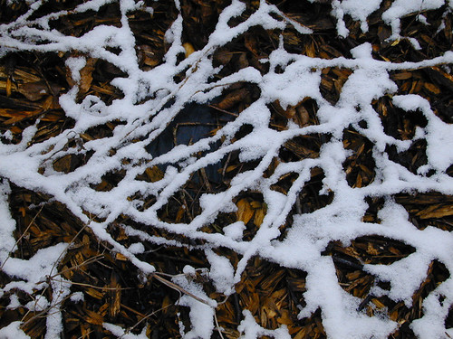 Snowy Mulch
