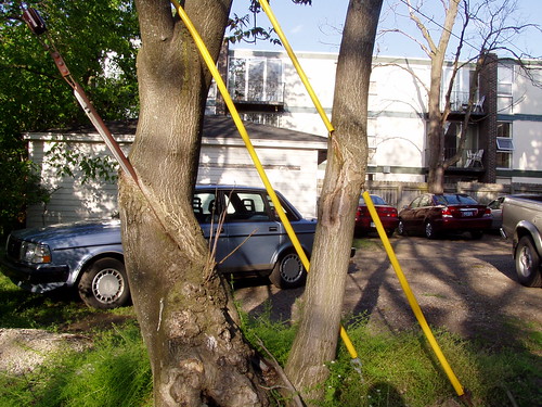 Wires and rods through trees