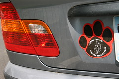 caring canines bumper sticker