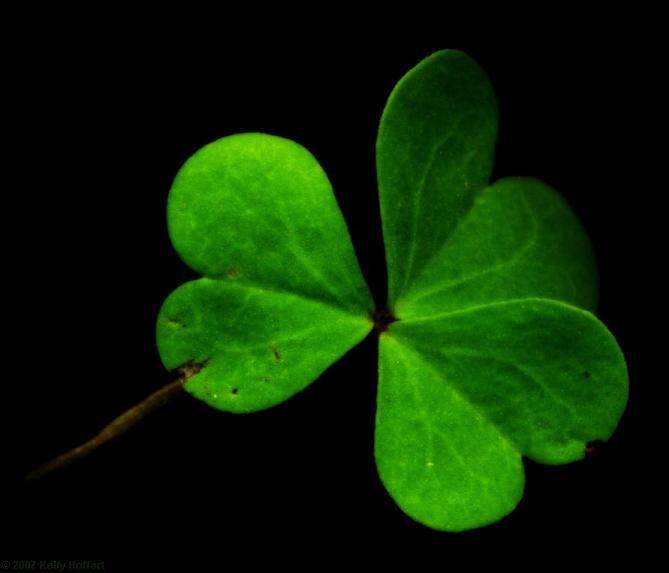 Imperfect Clover
