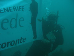 Pancarta submarina Tacoronte