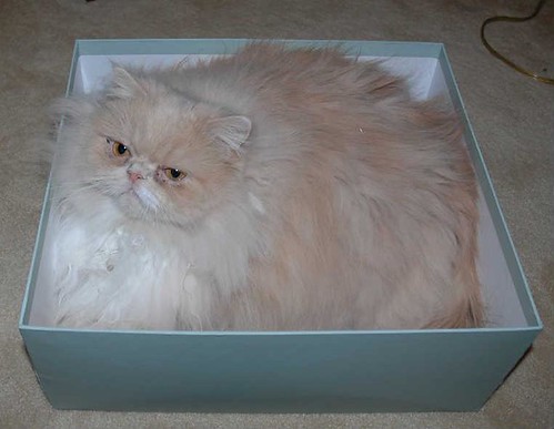 Cropped Mozart in a Box