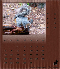 Zoo Calendar May