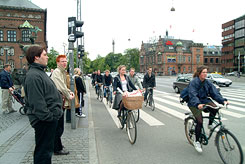Bicycle Traffic in Copenhagen