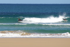 body boarders enjoying surf