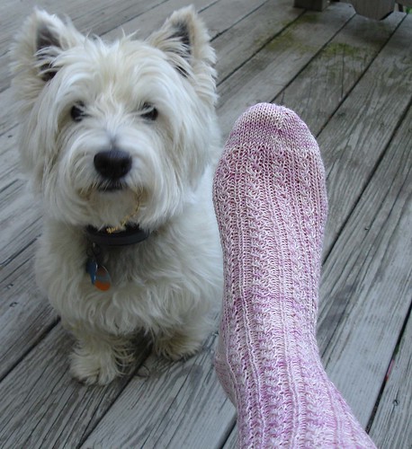 Mackenzie and sock