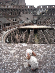Inside the Collosseum, looking at the arena and hypogeum - Rome, Italy - 9 August 2006