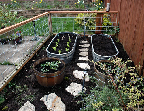 New vegetable garden by Sundry