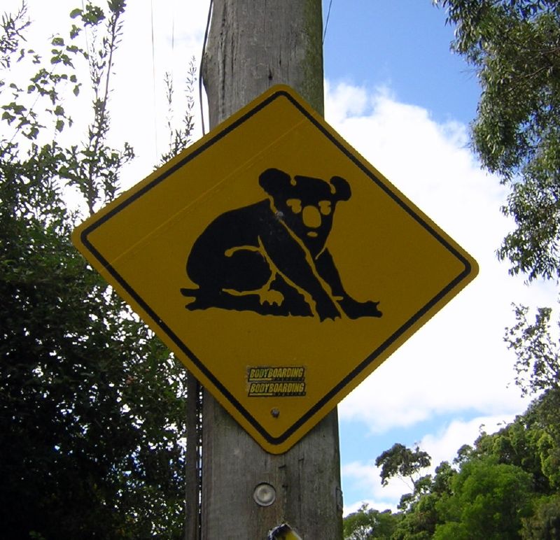 Koala sign on Pacific Drive