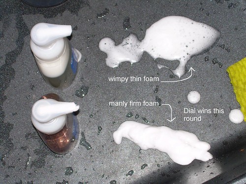 Homemade Foaming Handsoap