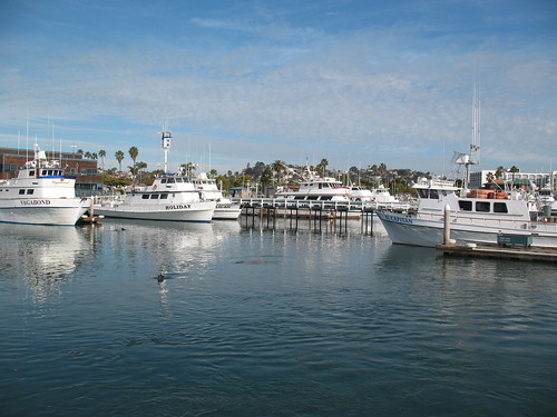 Docks at Point Loma