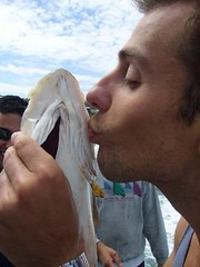 elias fish kiss