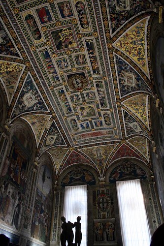 The Ceiling of the Piccolomini Library