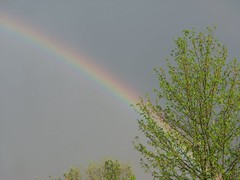 Rainbow 2