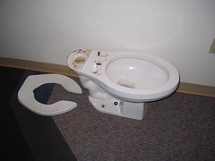 Broken Toilet