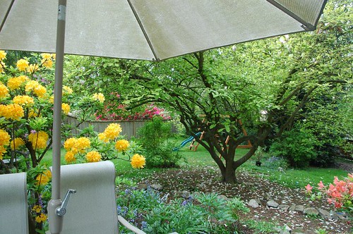 garden 2007