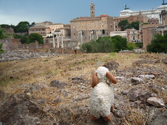 Looking out over the Roman Forum (Forum Romanum) - Youssouf in Rome, Italy - 9 August 2006