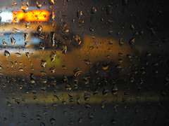Rain on my Window 010