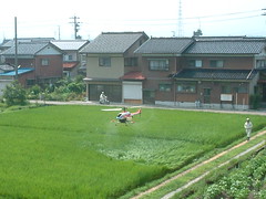 Japanese Rice Farmers Use Remote-Control Helicopters to Spray Crops