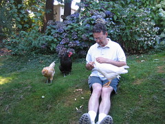 Dad with a chicken in his lap