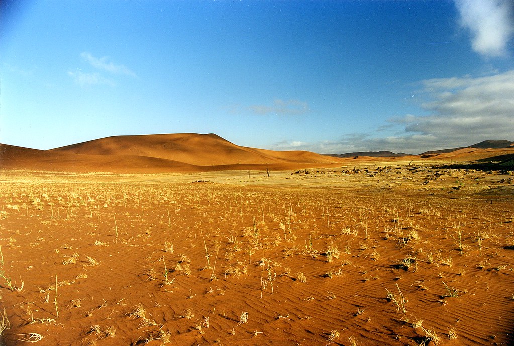 Désert de Namibie par Nomad Photography