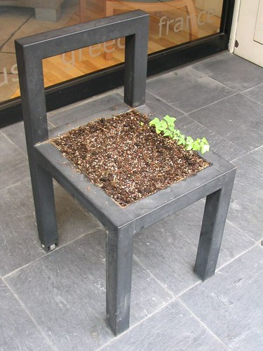 plant chair