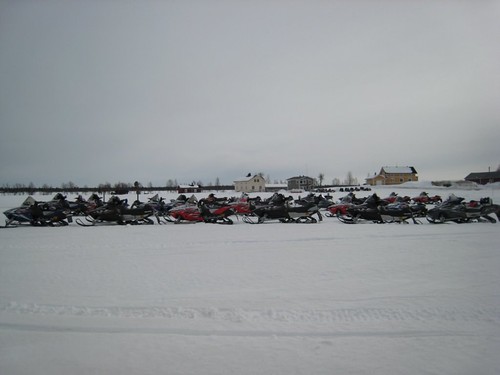 A herd of wild snowmobiles