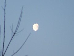 moon_in_morning_daylight
