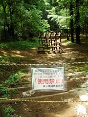 昭和の森公園にいったよ