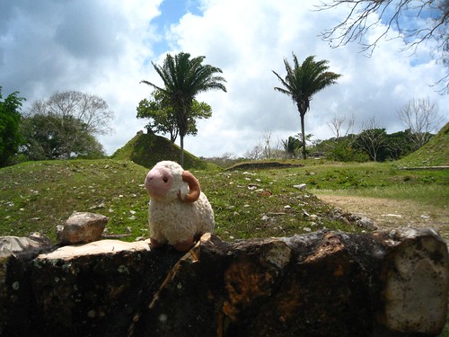 Youssouf at Altun Ha - Overview of the plaza