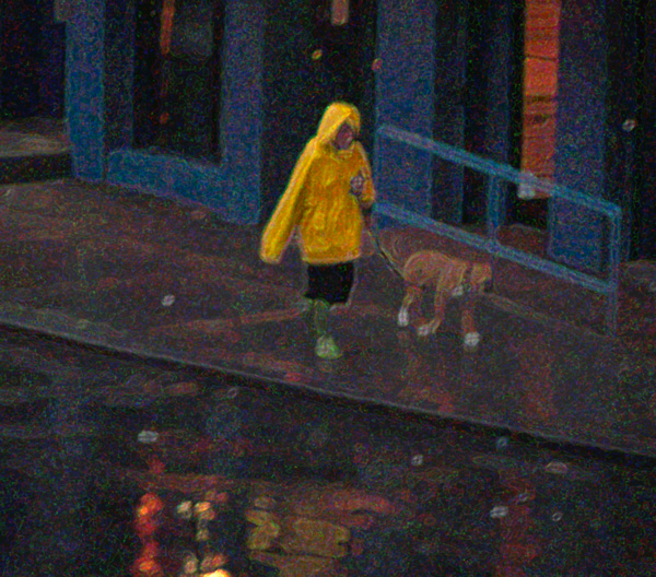 dog took part in the raid. Dog Walking in the Rain