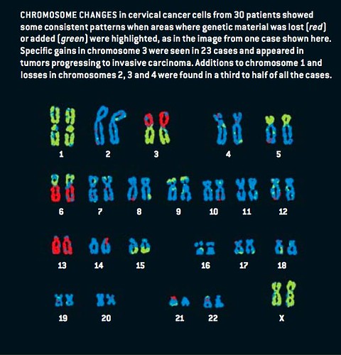 Cancer Chromosomes