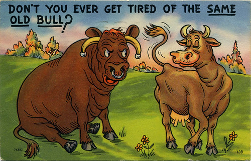 Postcard:  Same Old Bull