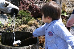 Oshino-Hakkai : spring water