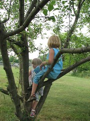 Girls up in an apple tree