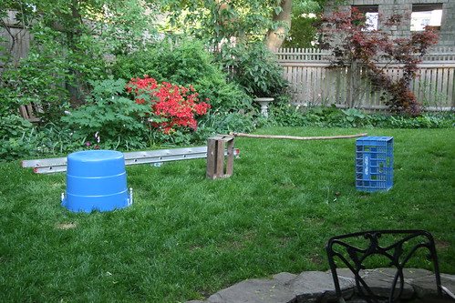 backyard agility equipment