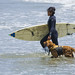 dog-saint-kat-surfing_0011