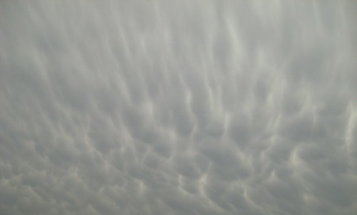 Mammatus cloud #1