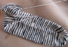 zebra sock