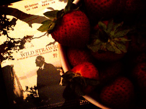 Wild Strawberries and Organic Strawberries