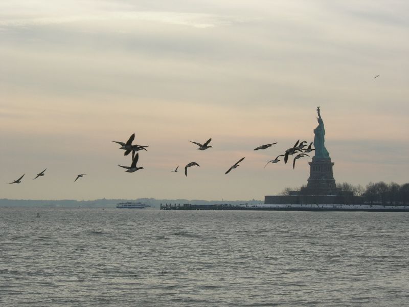 Lonely Statue of Liberty