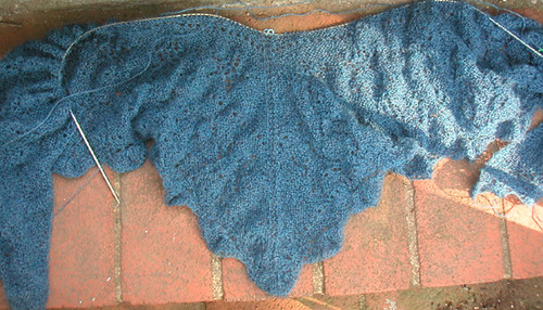 sea shawl update 052707