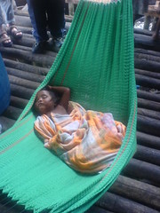 warao indian in hammock