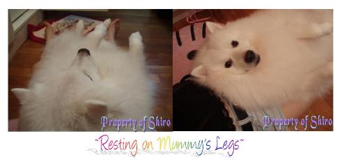 Resting on Mummy's Legs_-_02