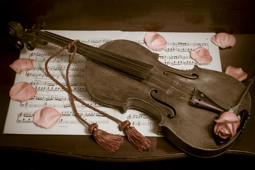Antique Violin with Rose Petals by Photos by Elyssa 