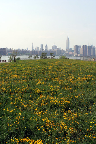 East River State Park